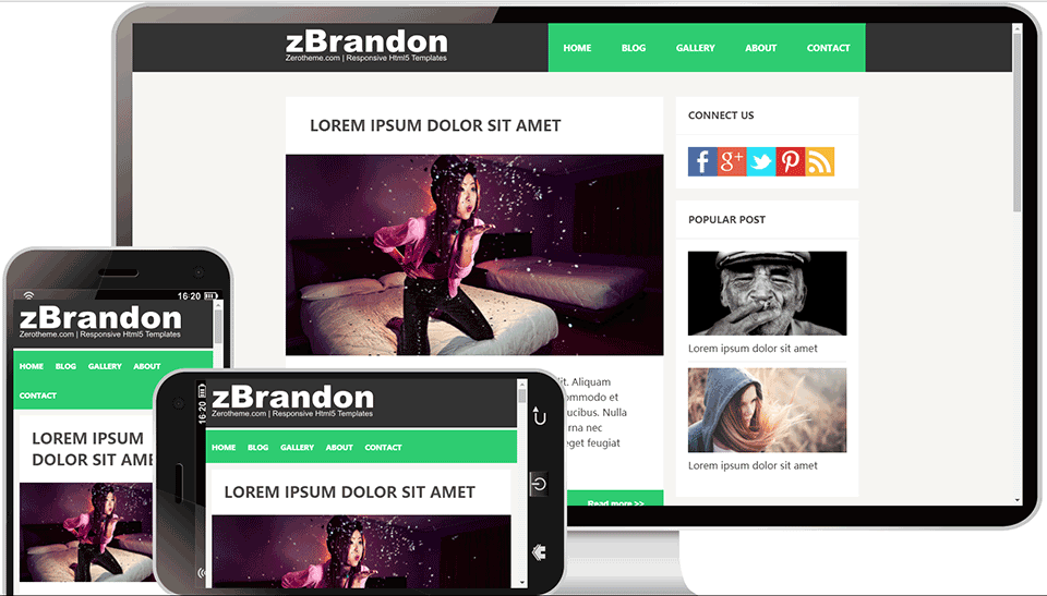 79个人博客主题网站模板案例