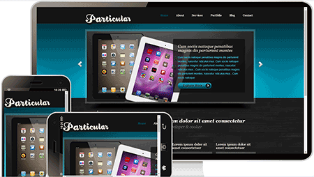  paiticulan计算机设备网站模板238	