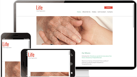 life健康网站模板310