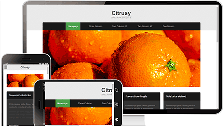 citrusy柑橘农产品网站模板917