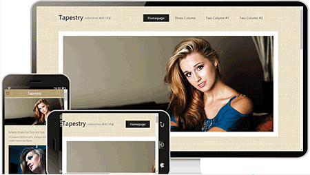  tapestry通用企业模板790