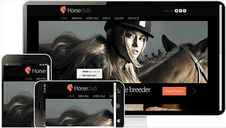  horse club骑马俱乐部网站模板253