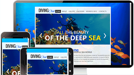 diving潜水俱乐部网站模板265	