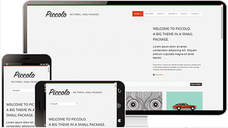 piccolo英文网站模板911