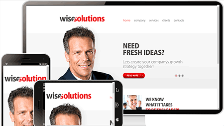 wise solutions 外贸网站模板231	