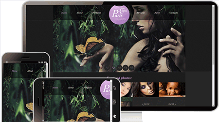 自然paris clark网站模板217