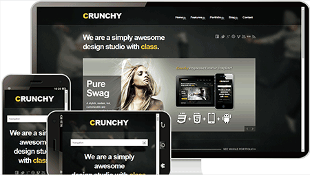  计算机服务网站模板1148