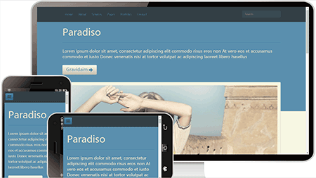  paradiso企业主题模板1067