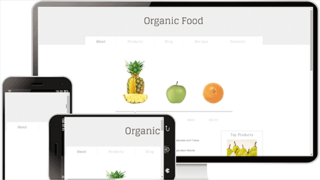 水果食物网站模板1178