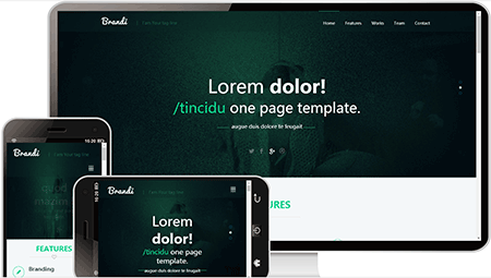  brandi大气自适应企业模板1070