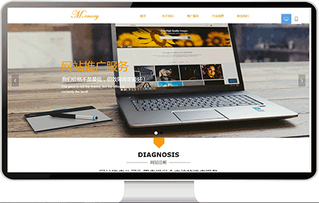 网站推广公司网站案例70