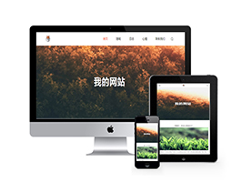 响应式单栏博客主题自适应网站