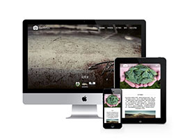 高端响应式作品展示网站