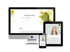 响应式品牌橱窗陈列类网站